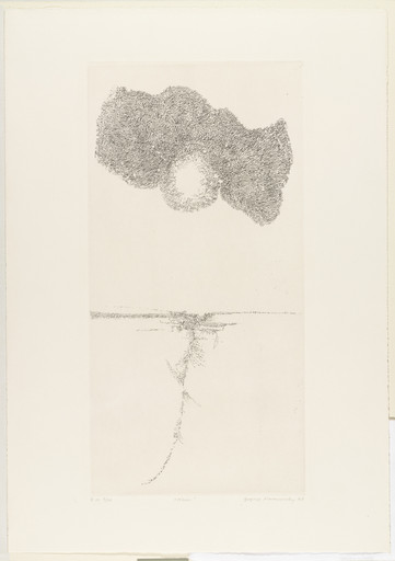 Cloud (Nuée)