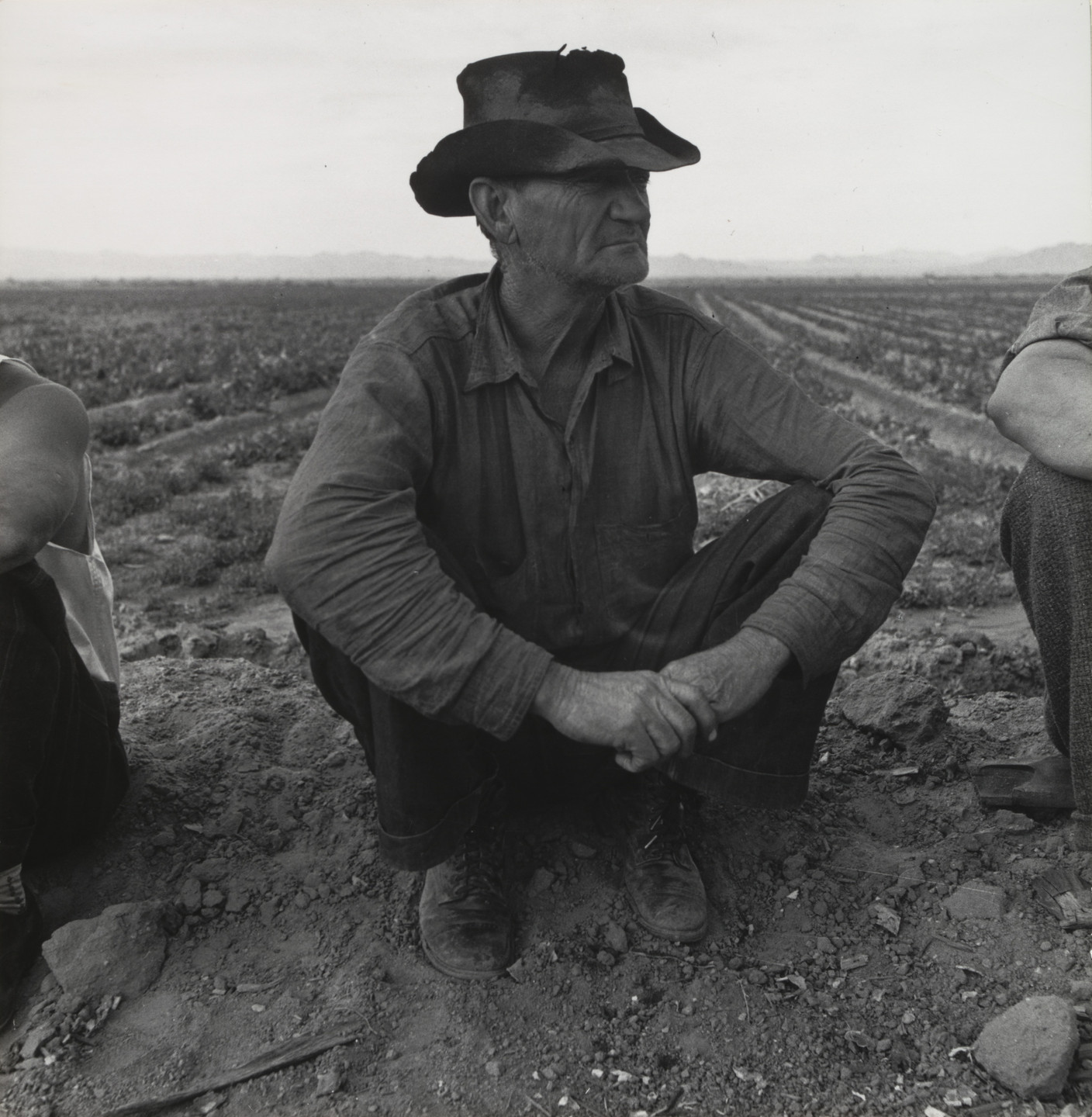 Dorothea Lange. Jobless on the Edge of a Peafield, Imperial Valley, California. February 1937