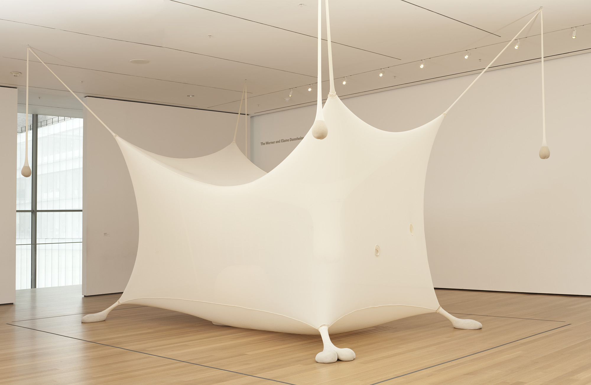 Ernesto Neto. Navedenga. 1998