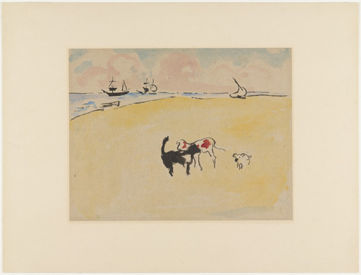 Dogs on the Beach