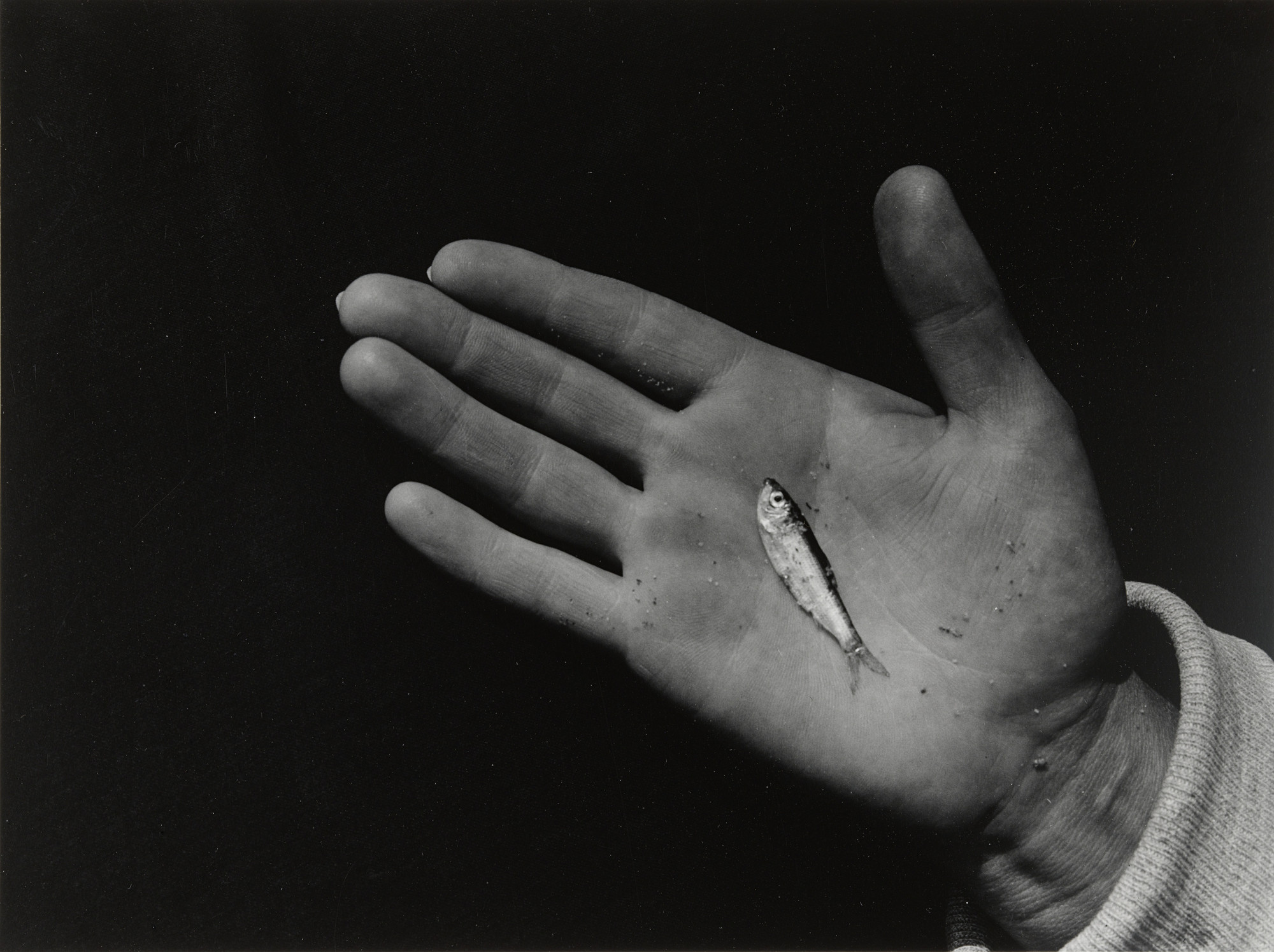Aaron Siskind. Martha's Vineyard