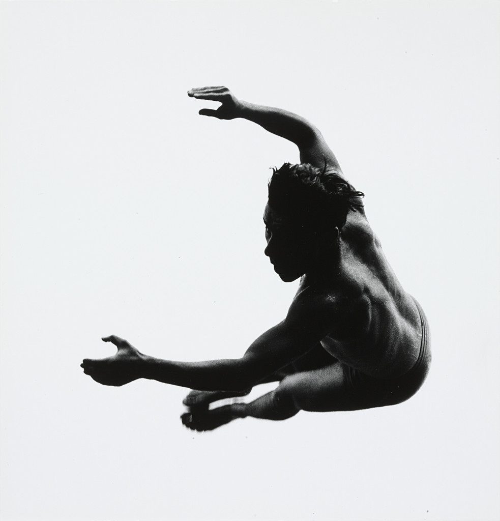 Pleasures and Terrors of Levitation 491