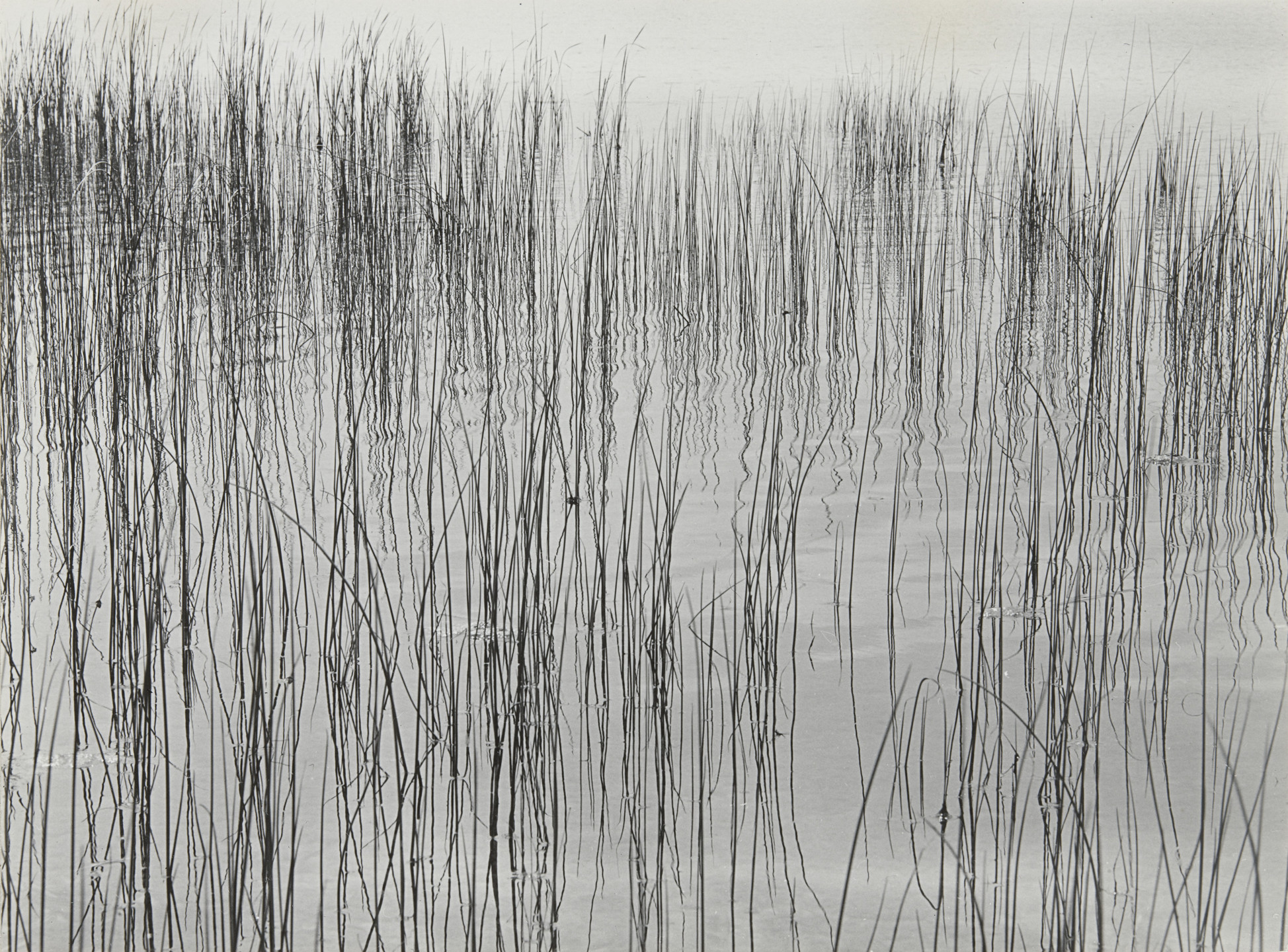 Harry Callahan. Detroit. 1941 | MoMA