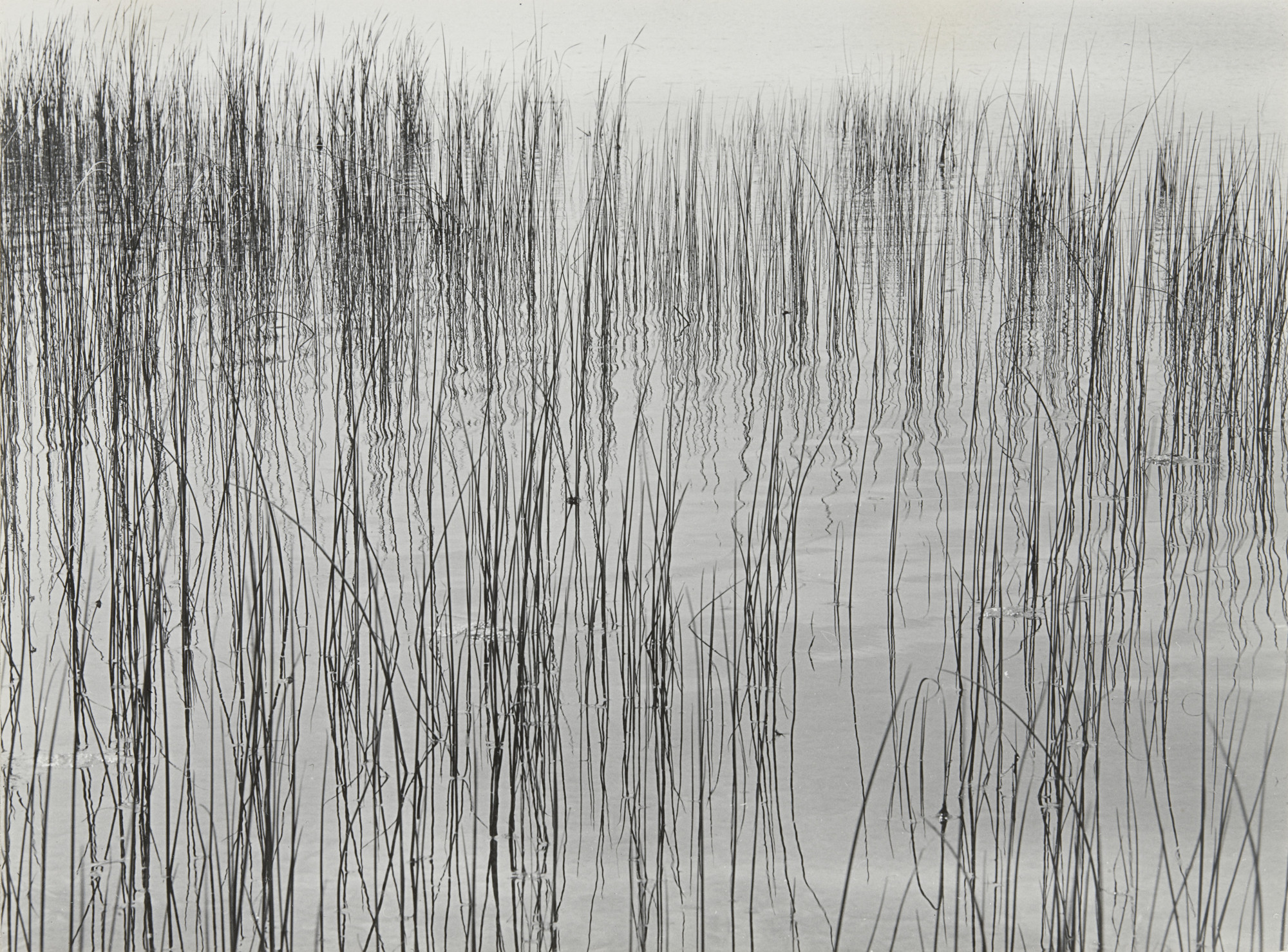 Harry Callahan. Detroit. 1941 | MoMA