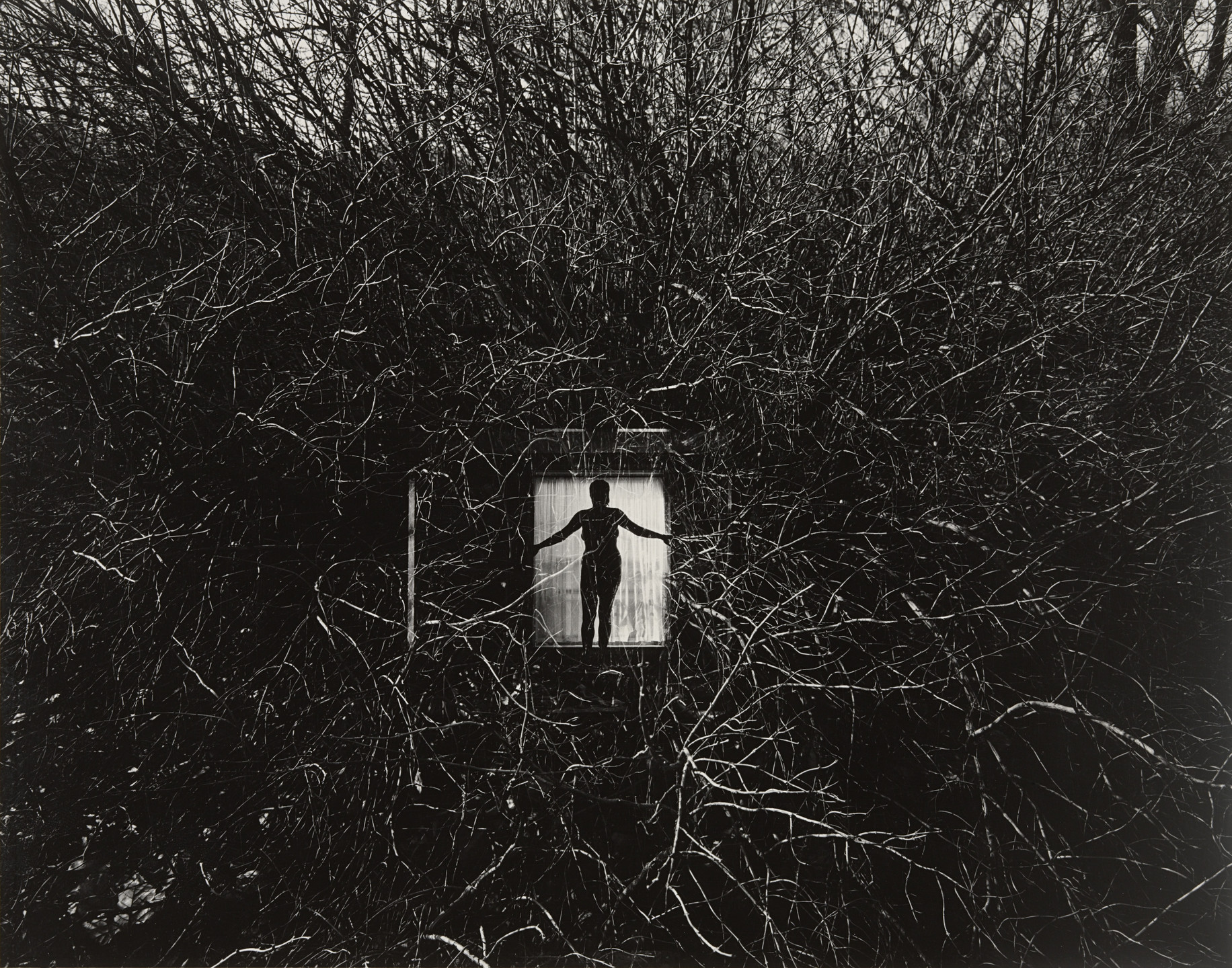 Harry Callahan Eleanor 写真集 Harry Callahan. Eleanor, Chicago. 1949 | MoMA