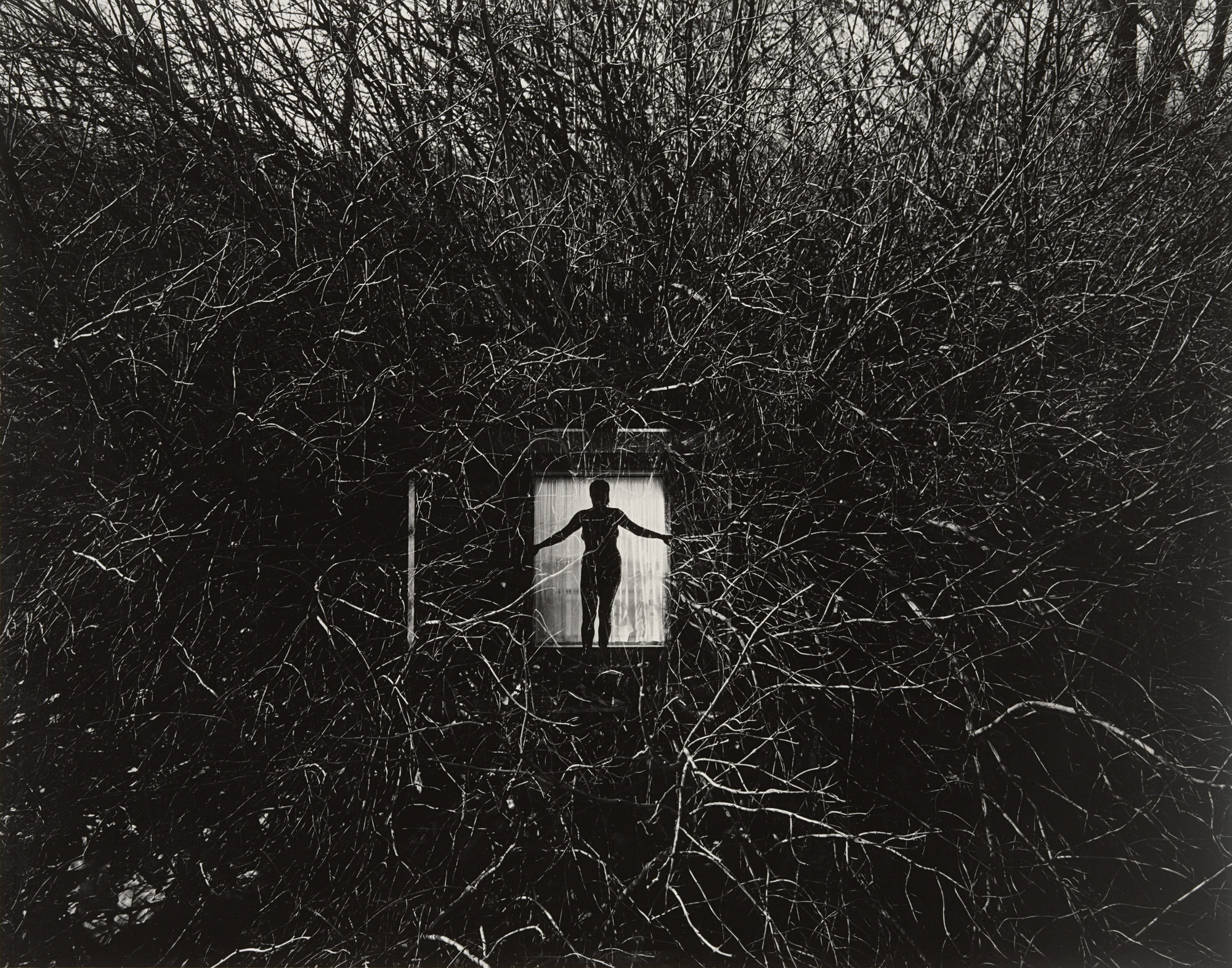 Harry Callahan. Eleanor, Chicago