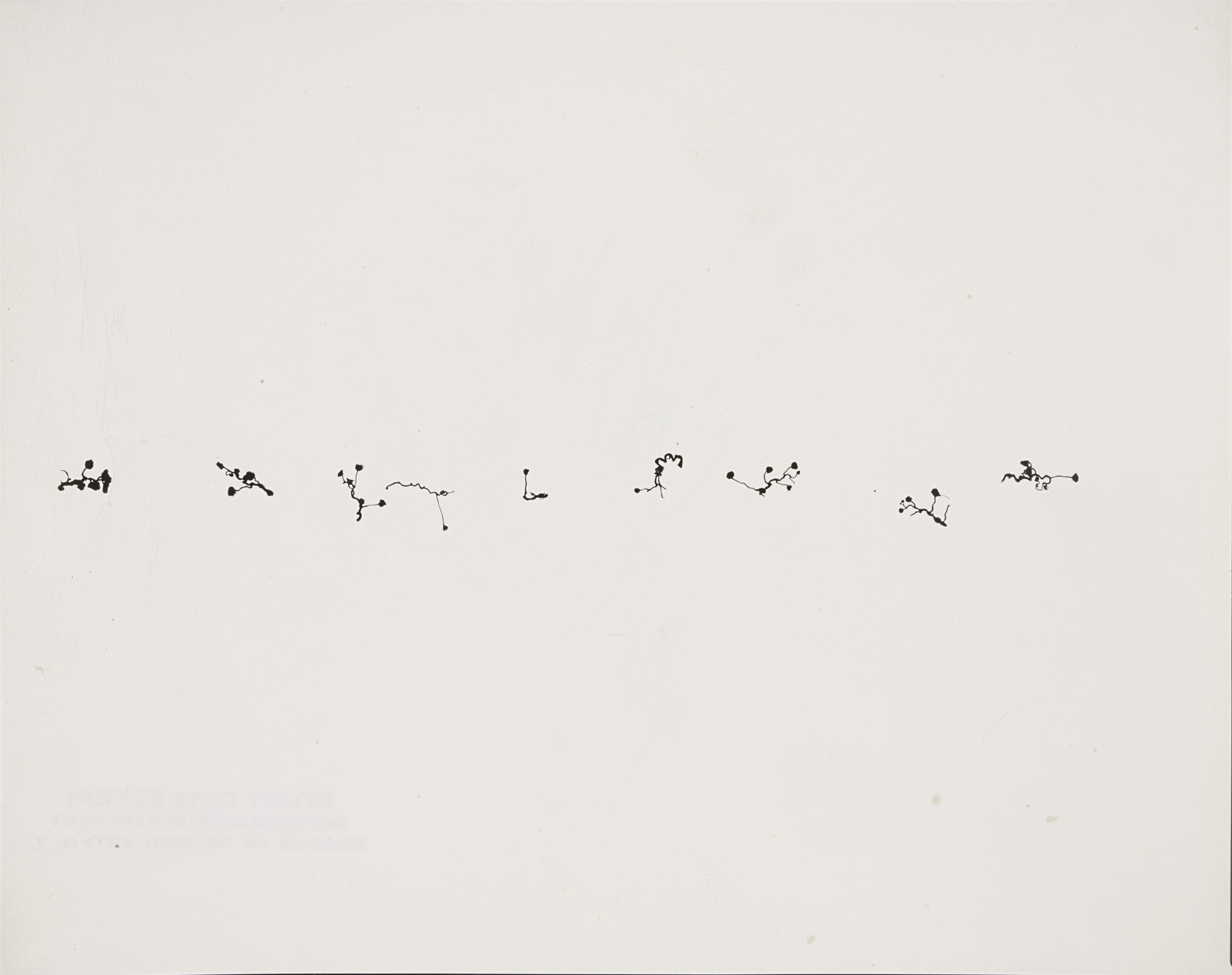 Harry Callahan. Chicago. c. 1952 | MoMA
