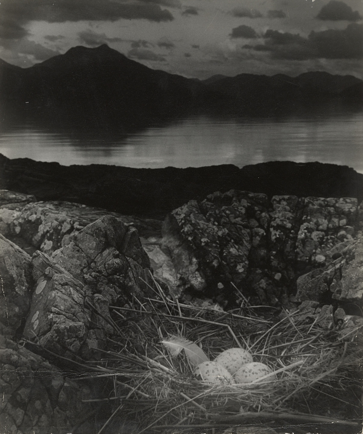 Bill Brandt. Gull&#39;s Nest, Late on Midsummer Night, Isle of Skye. 1947