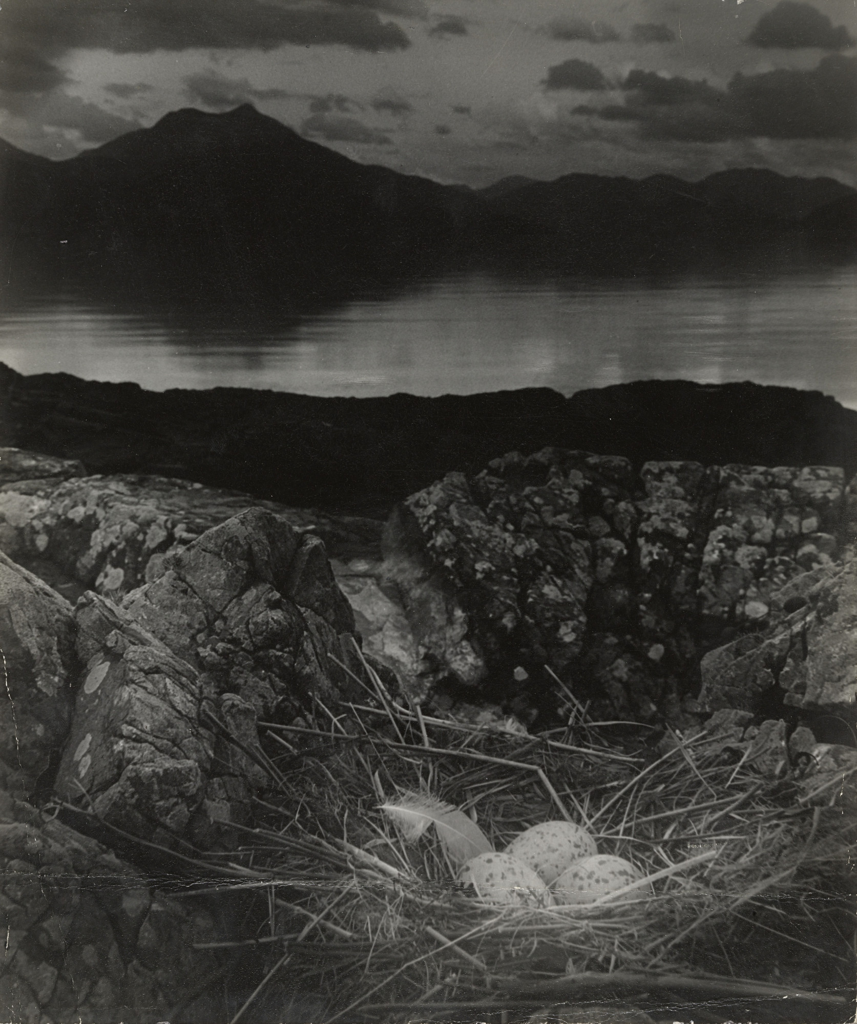 Bill Brandt. Gull's Nest, Late on Midsummer Night, Isle of Skye