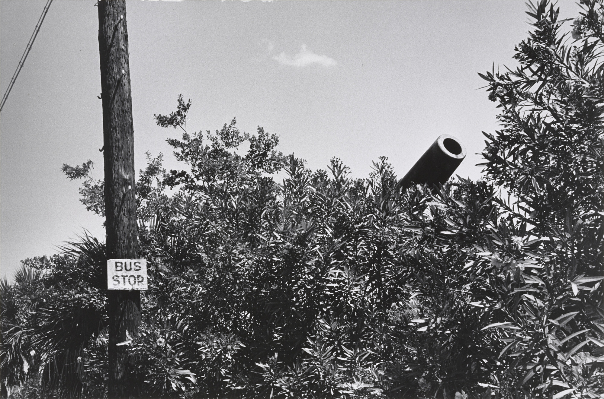Elliott Erwitt. New Jersey