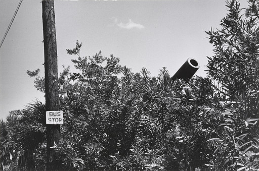 Elliott Erwitt. New Jersey