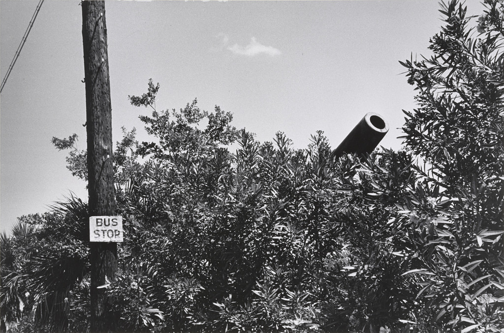 NEW JERSEY, Elliott Erwitt, 1953
