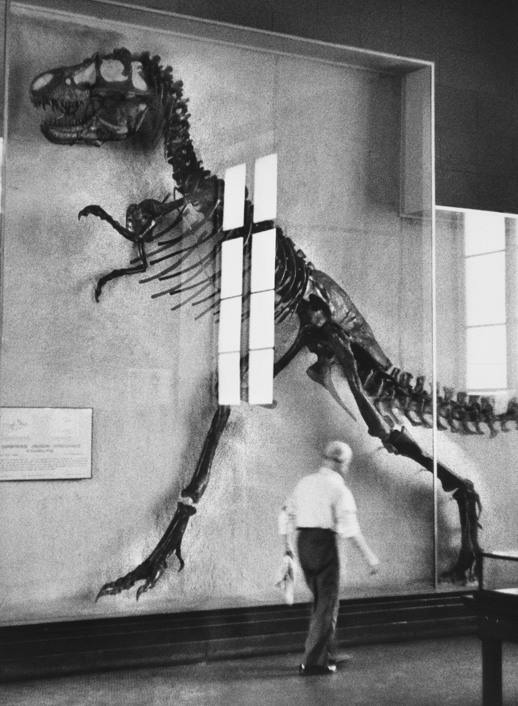 Elliott Erwitt. New York. 1953