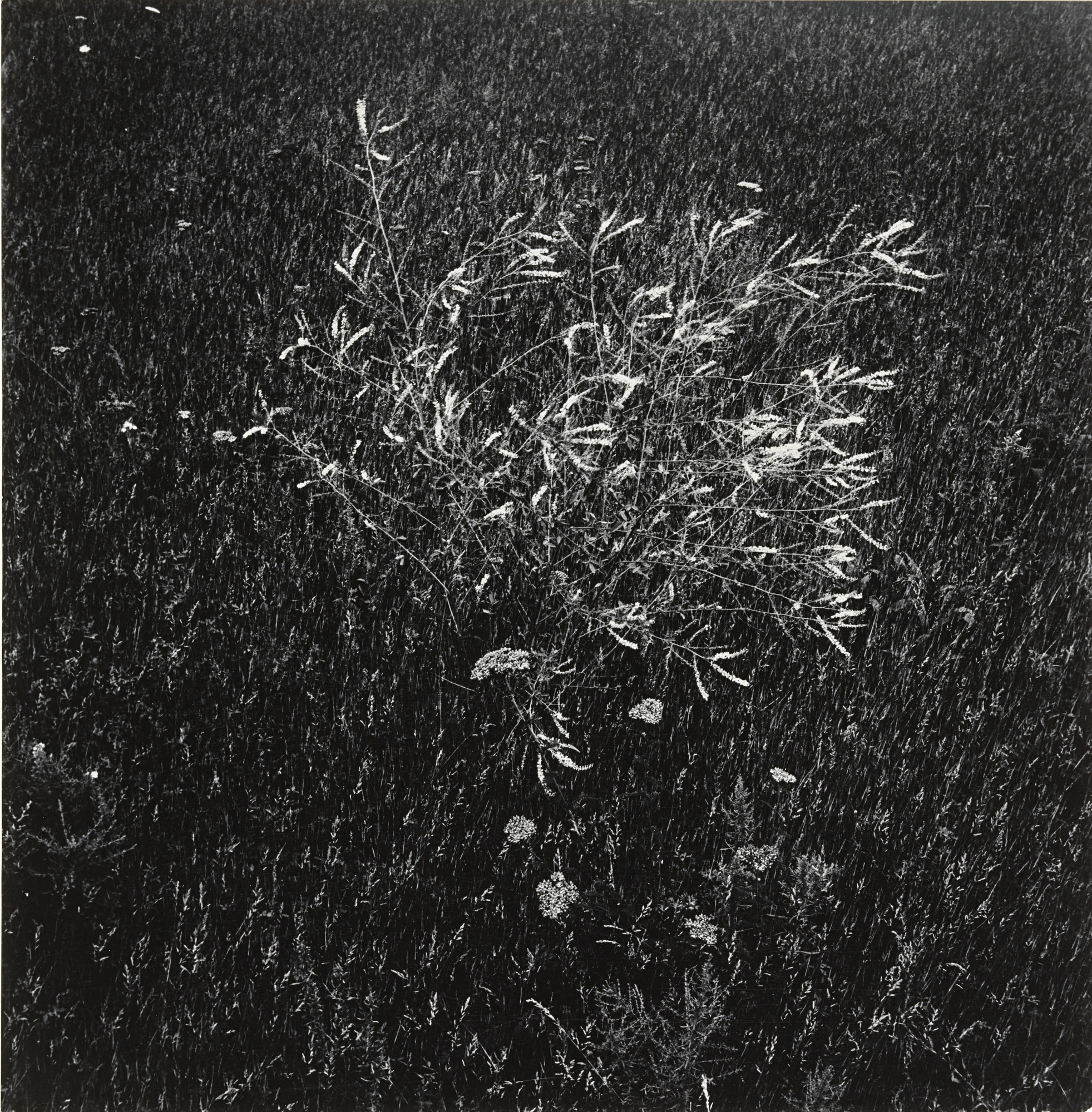 W1siZiIsIjE4NDA0OSJdLFsicCIsIm