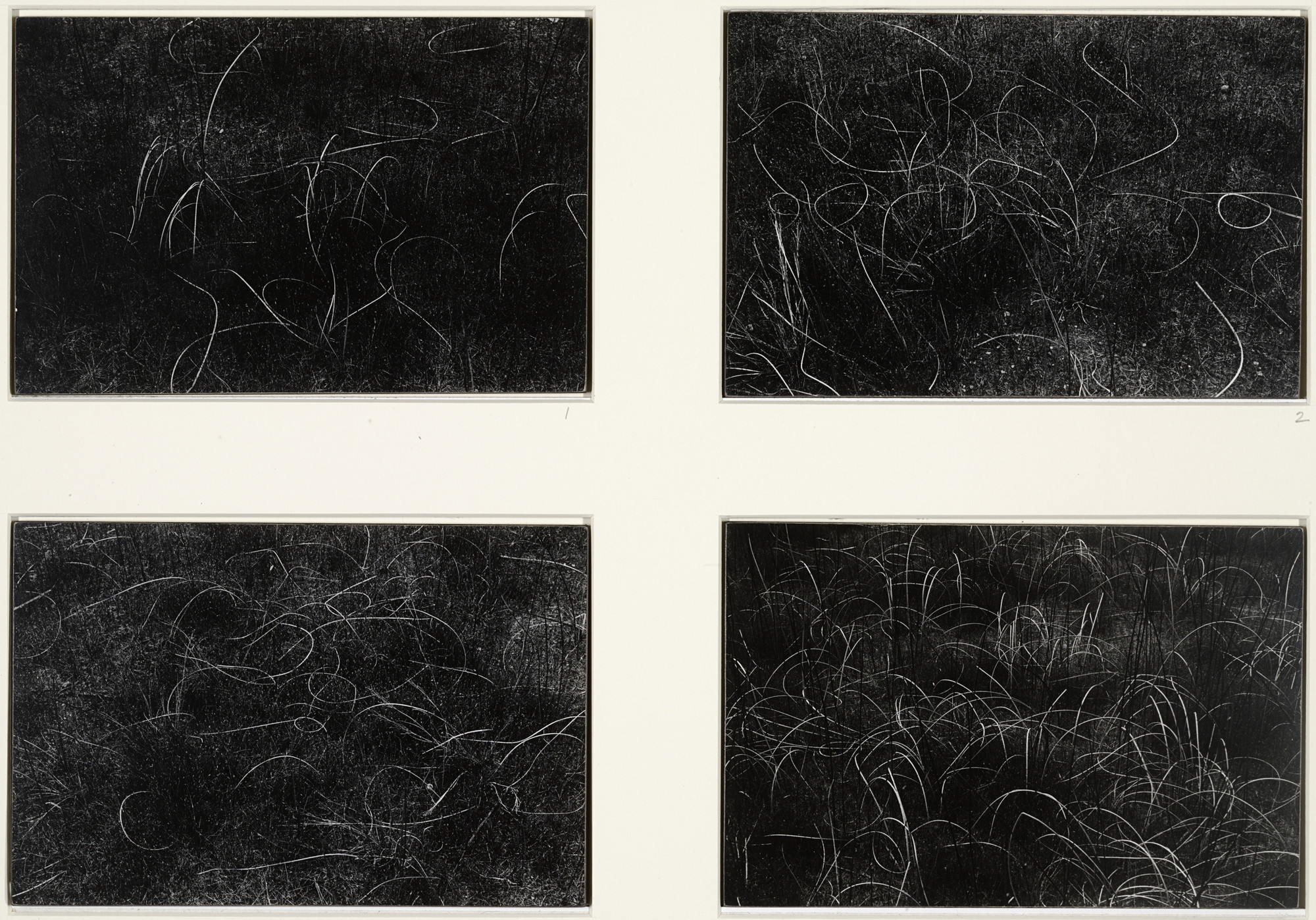 Harry Callahan. Wisconsin. 1958