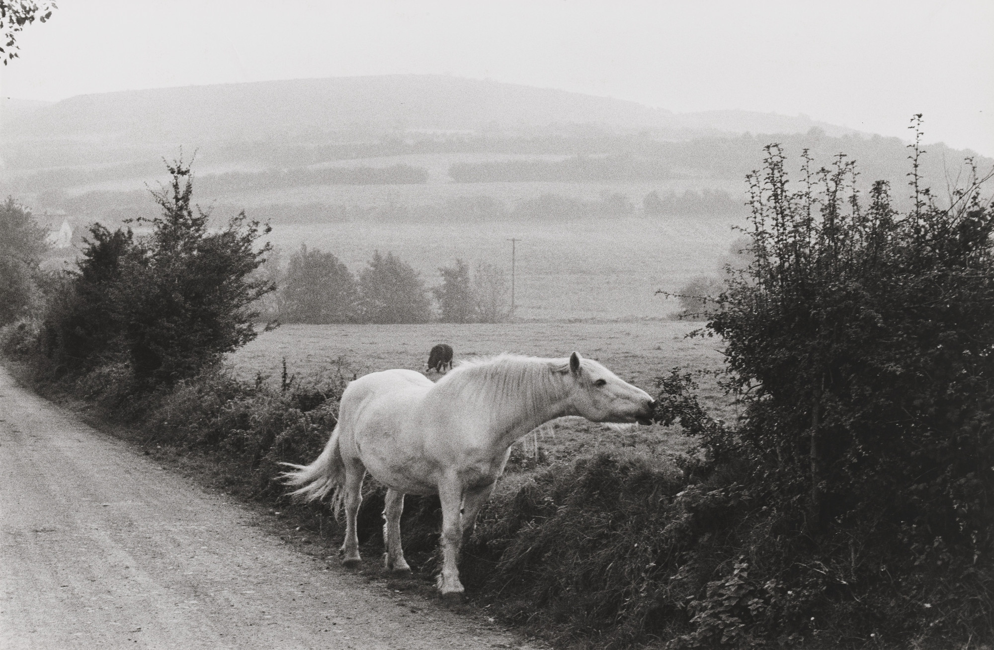 Henri Cartier-Bresson. Ireland