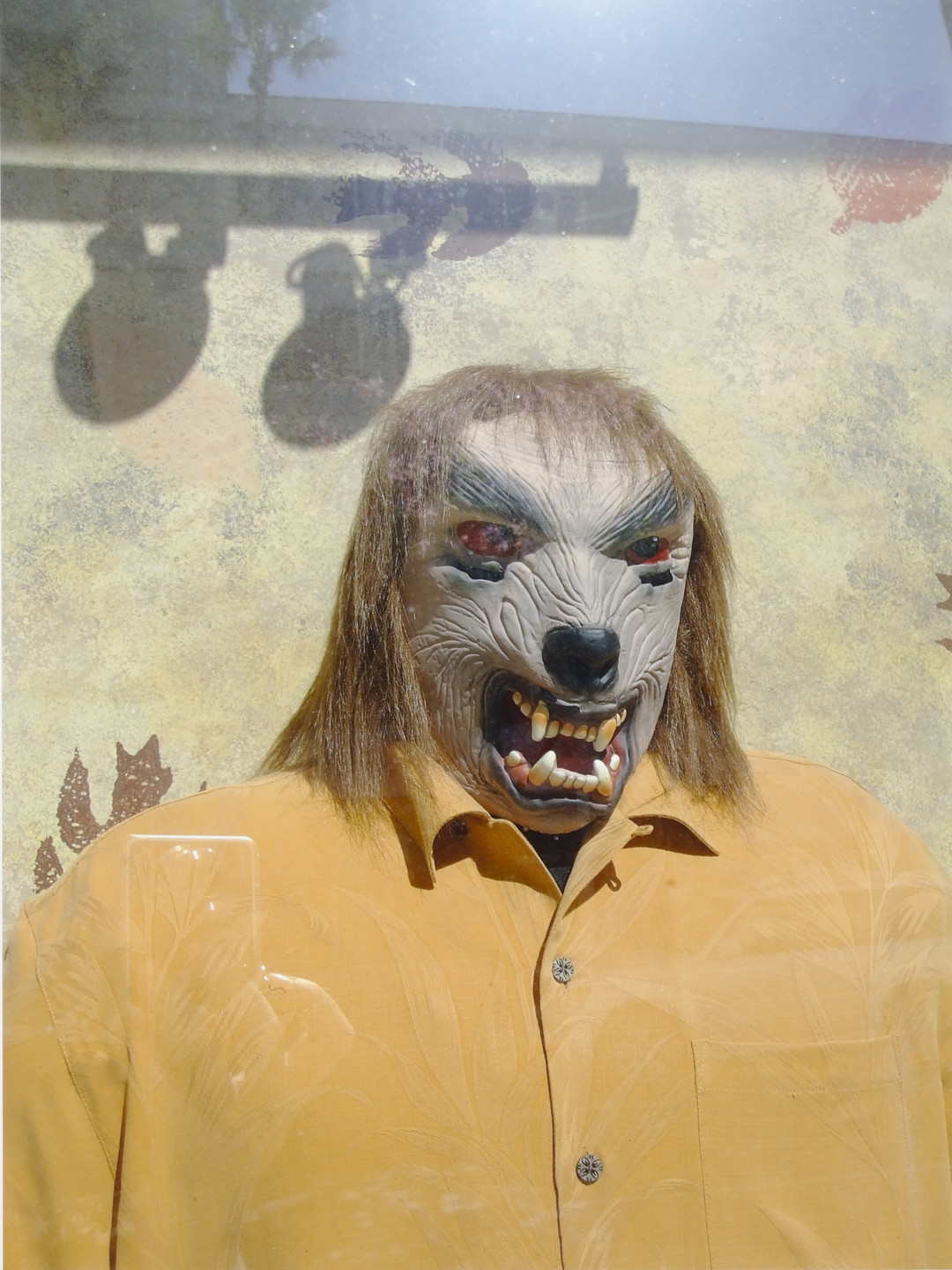 Rachel Harrison. Voyage of the Beagle. 2007