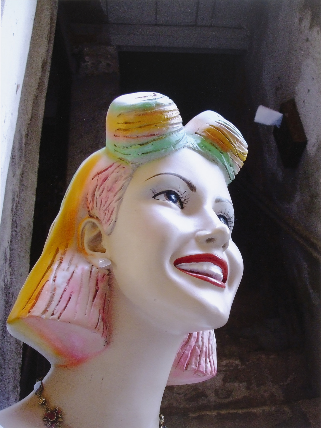 Rachel Harrison. Voyage of the Beagle. 2007