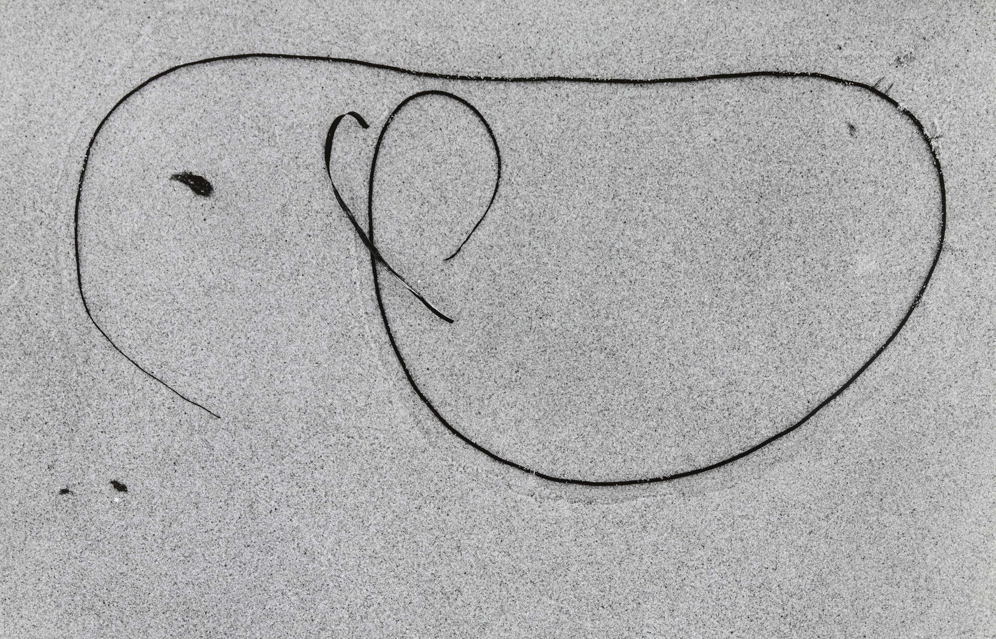 Aaron Siskind. Martha's Vineyard 10