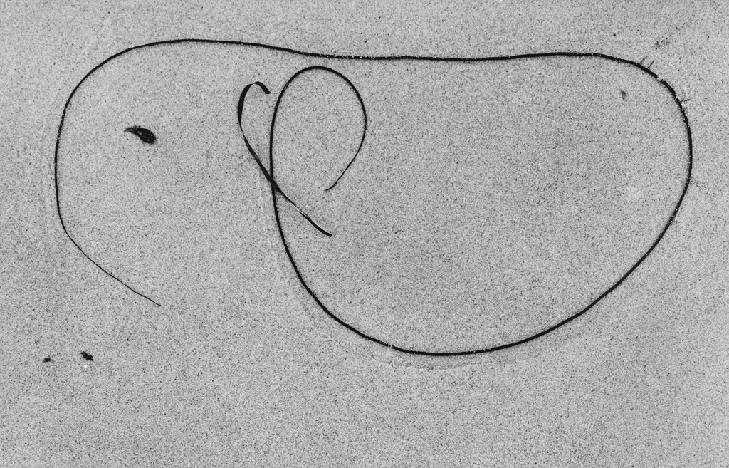 Martha's Vineyard 10