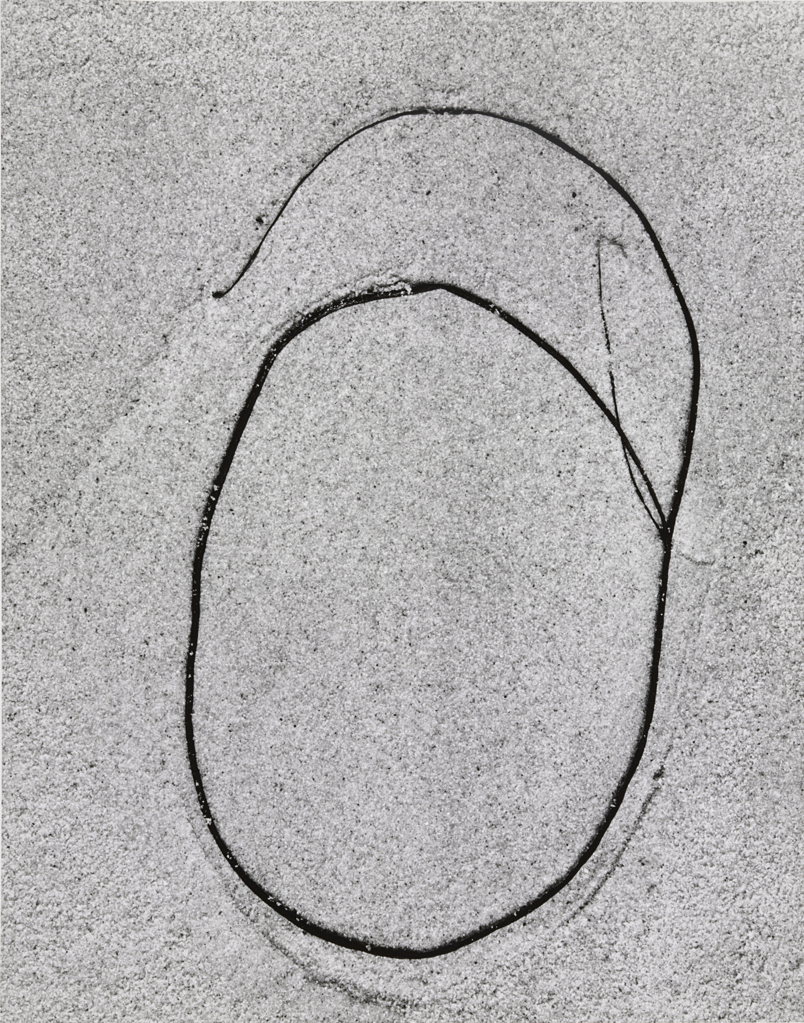 Aaron Siskind. Martha's Vineyard 26