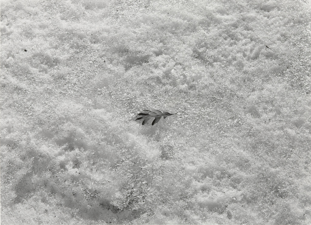 Detroit, Harry Callahan, 1942