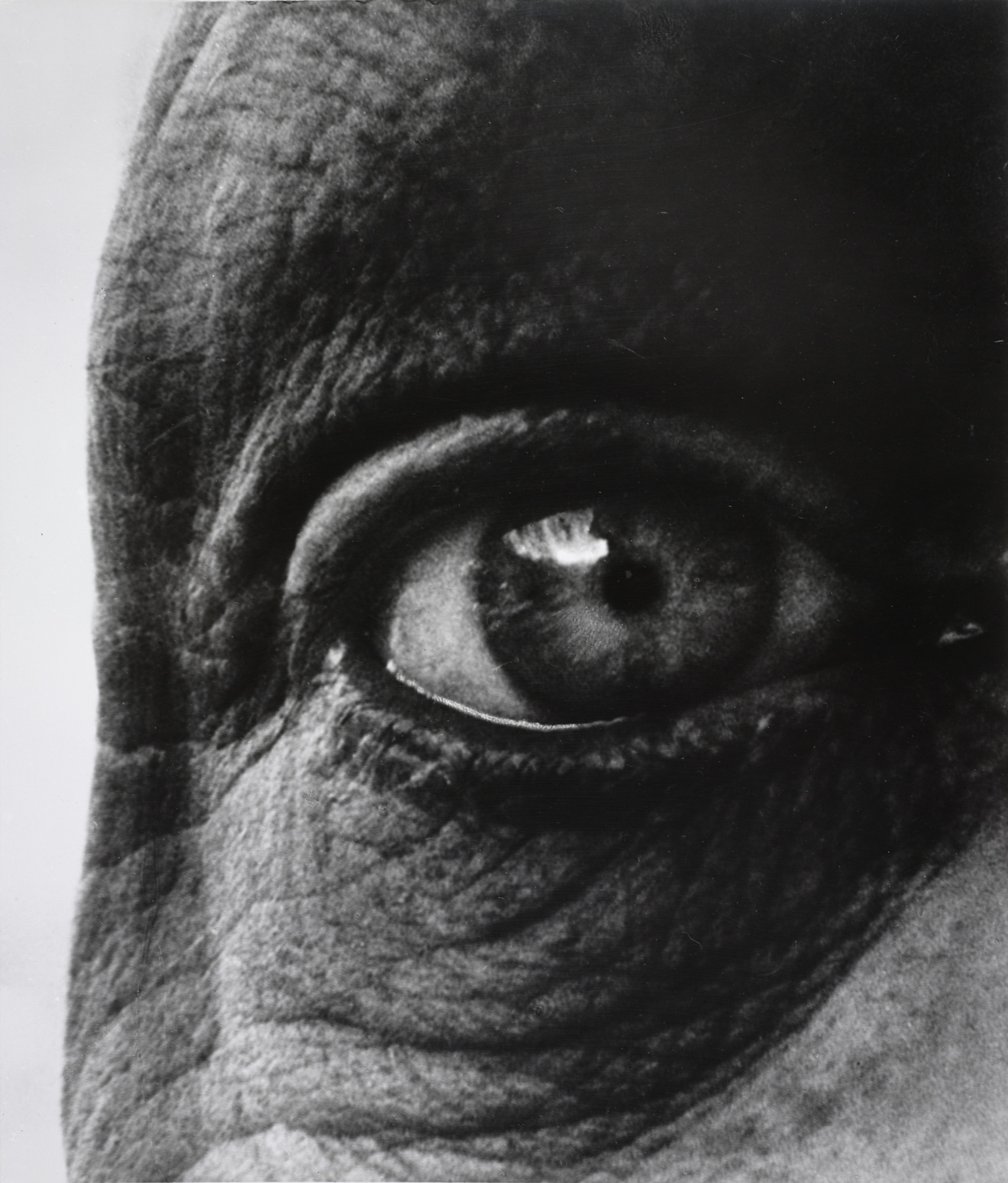 Bill Brandt. Jean Dubuffet's Right Eye