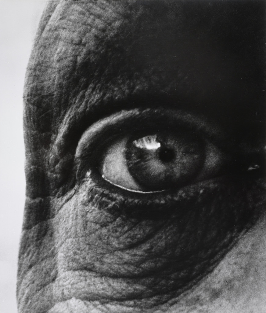 Jean Dubuffet's Right Eye