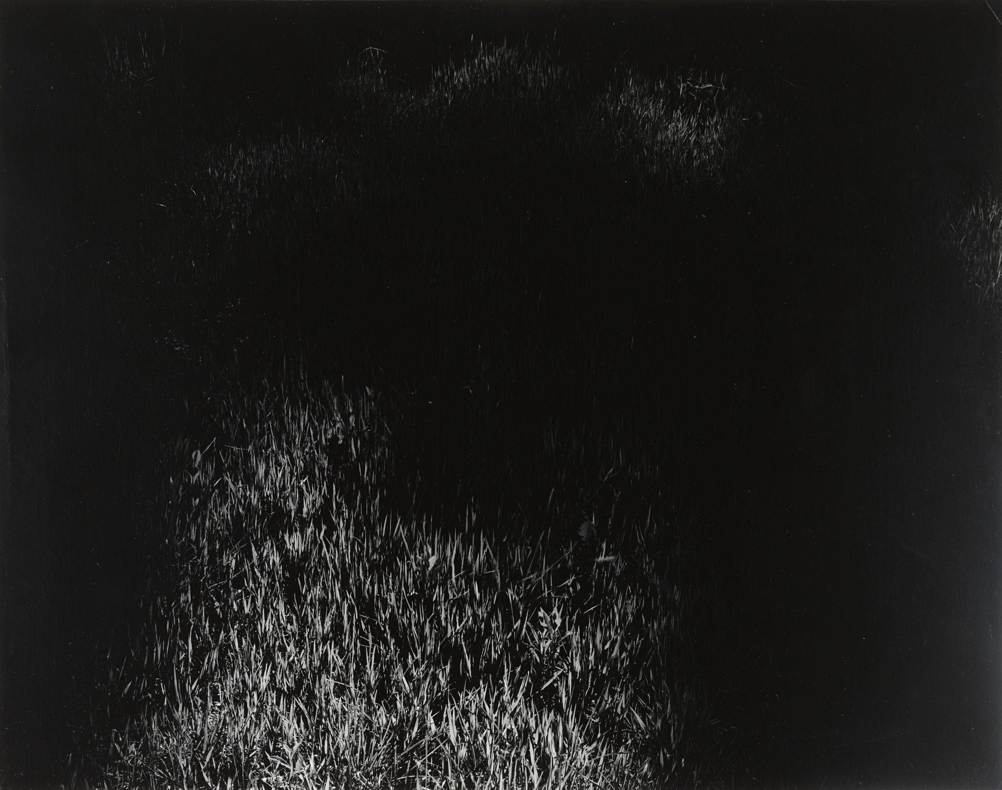 Harry Callahan. Untitled