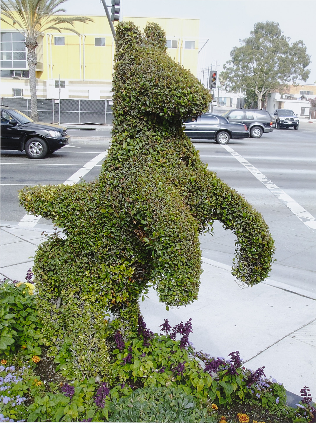 Rachel Harrison. Voyage of the Beagle. 2007