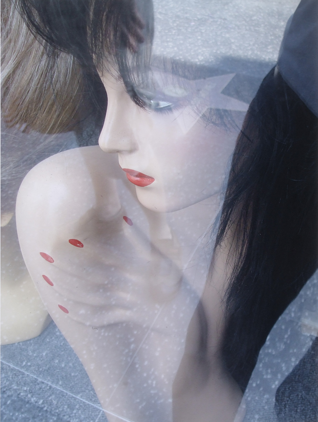 Rachel Harrison. Voyage of the Beagle. 2007