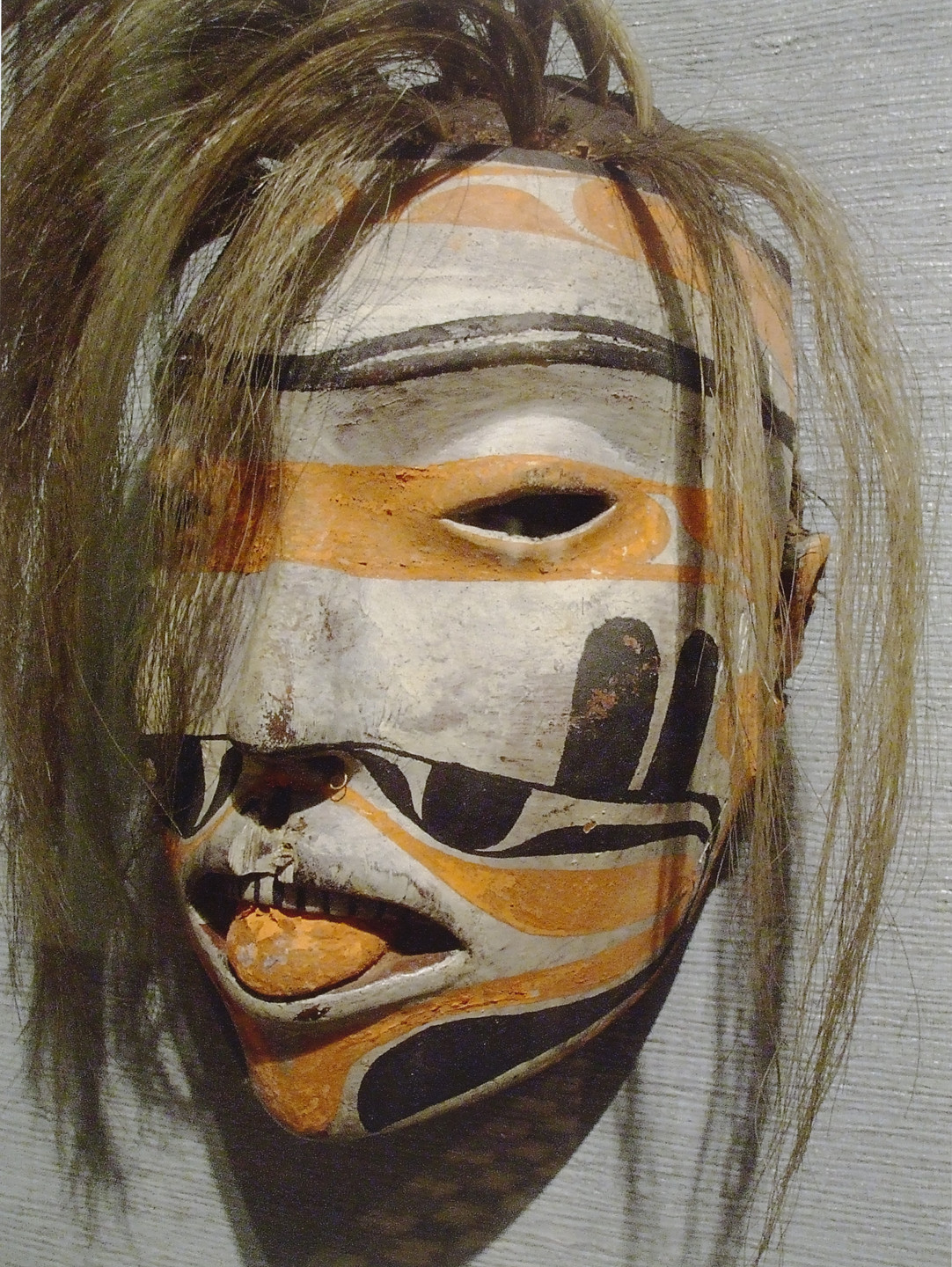 Rachel Harrison. Voyage of the Beagle. 2007