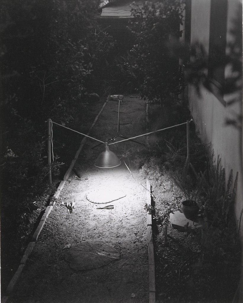 Spotlit Steps
