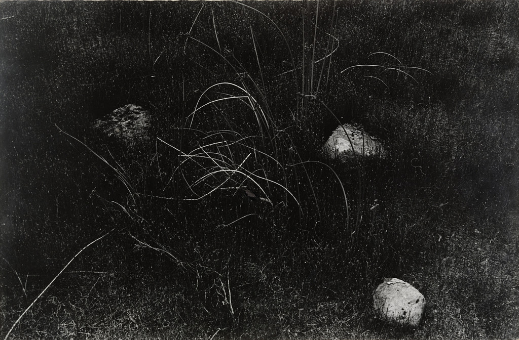 Rocks and Grasses, Wisconsin