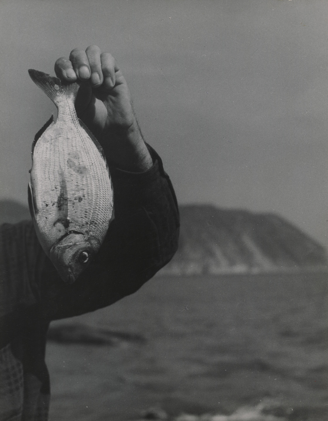 Emmy Andriesse. White Fish and Arm. c. 1950