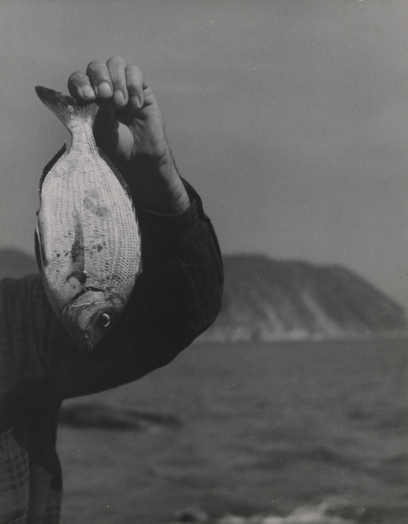 White Fish and Arm