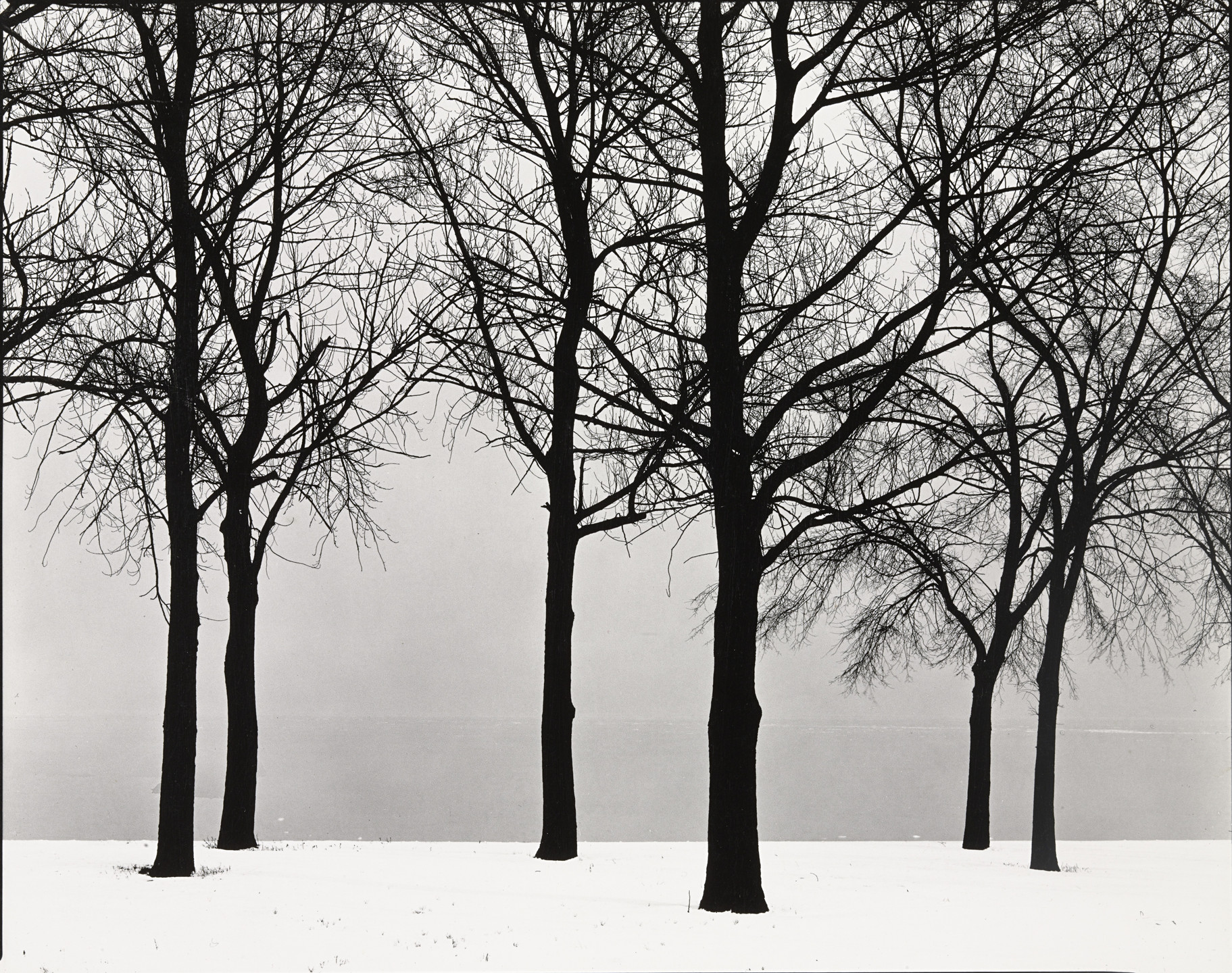 Harry Callahan: The Photographer at Work