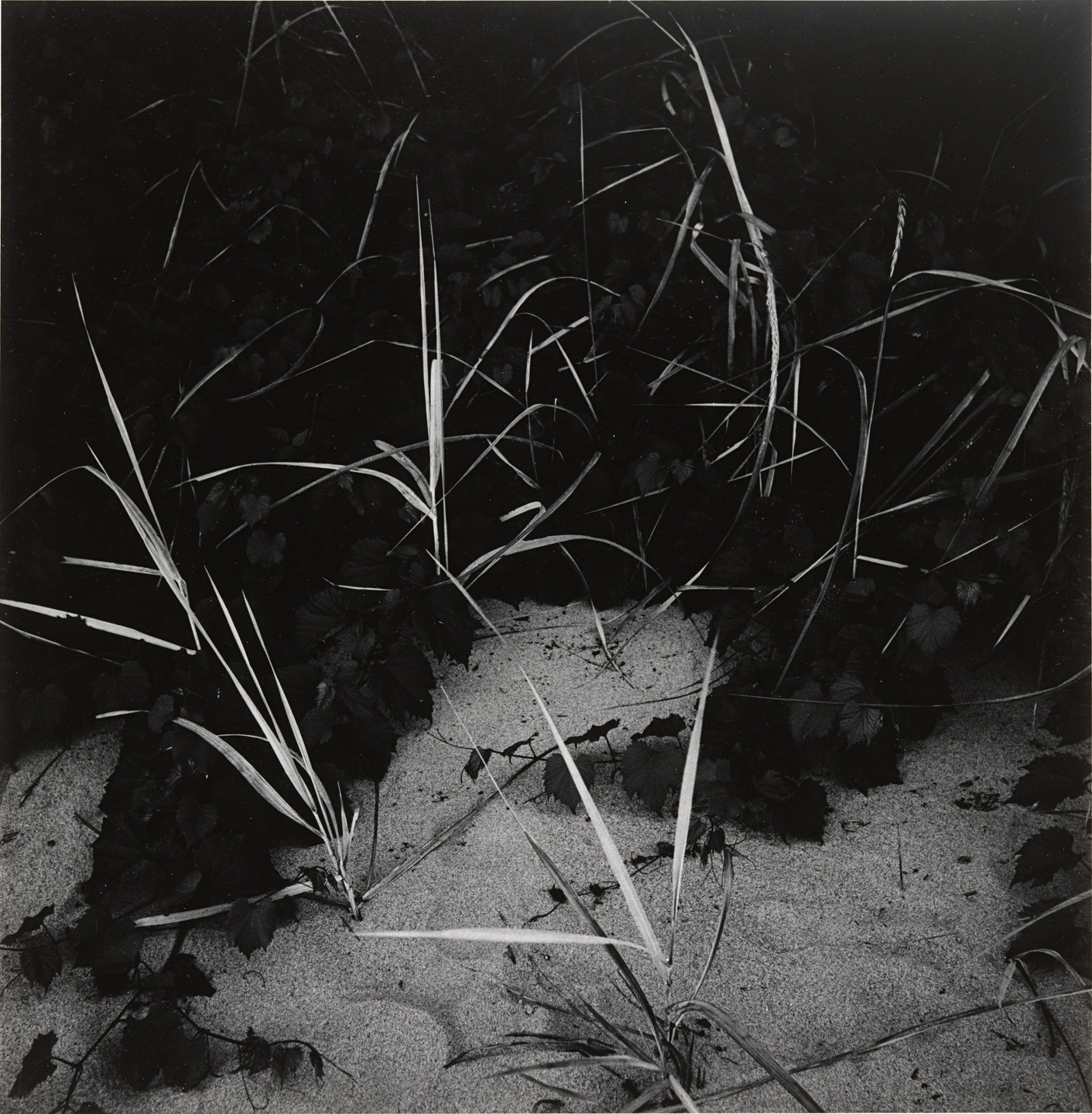 Harry Callahan. Lake Michigan. 1949