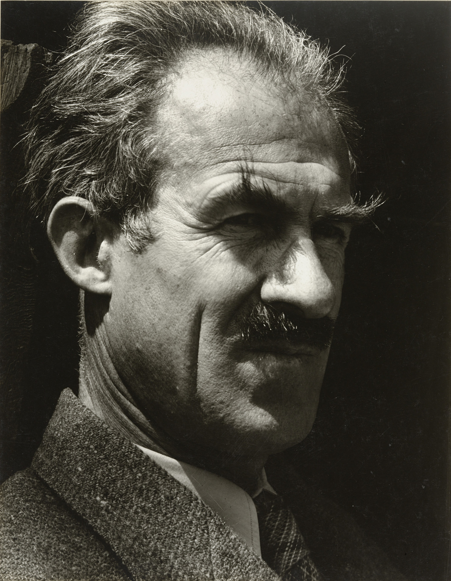 Imogen Cunningham. Roi Partridge