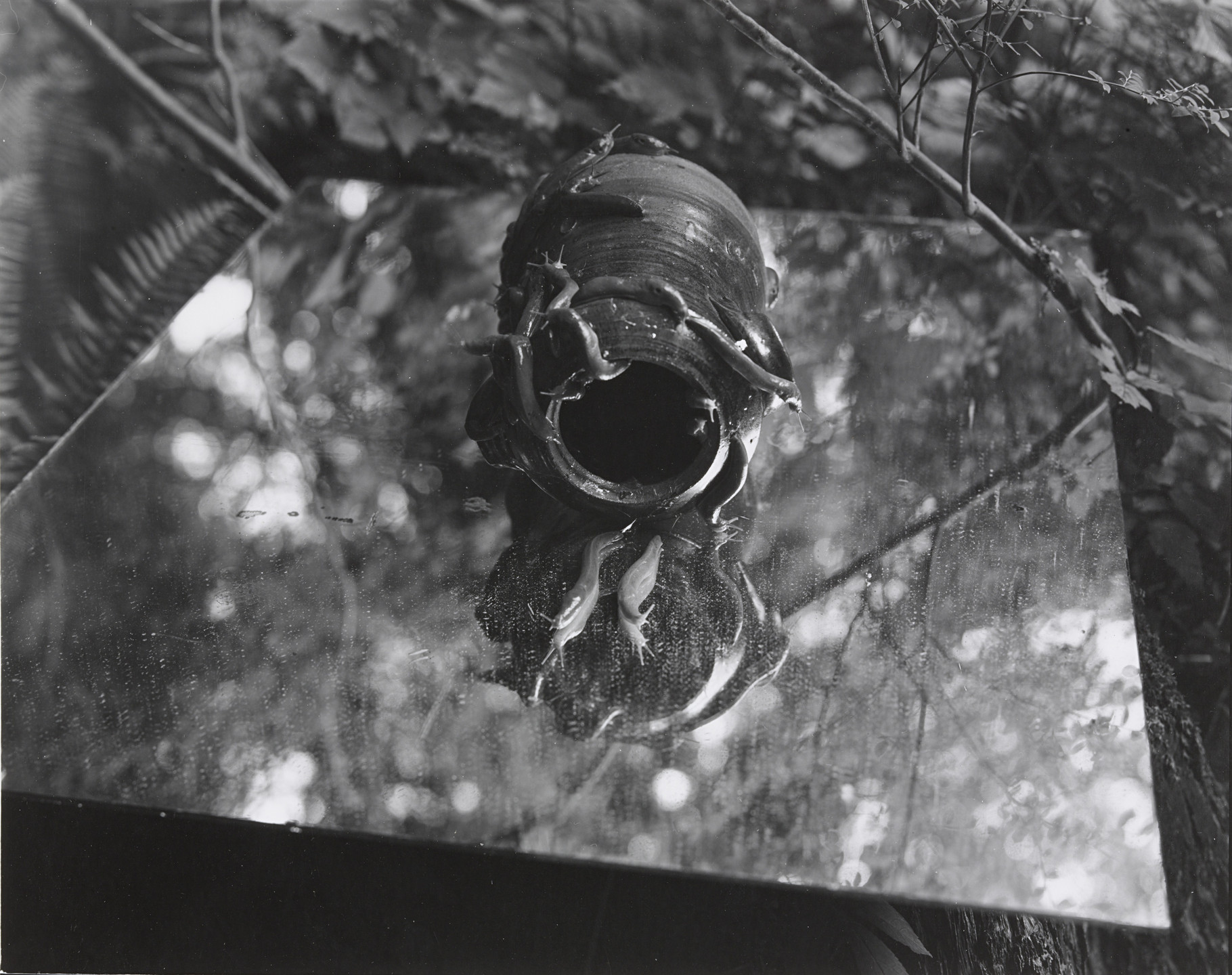 Robert Cumming. Slug Pot, Vancouver, Canada. 1972