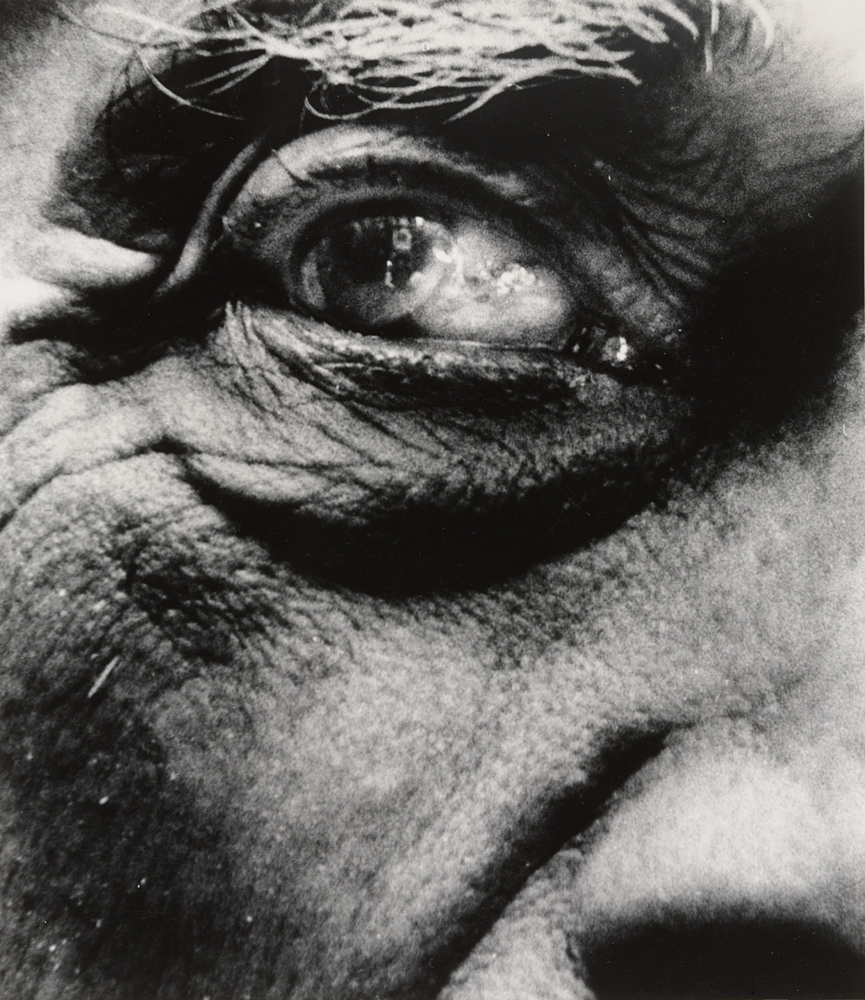 Bill Brandt. Georges Braque. 1960