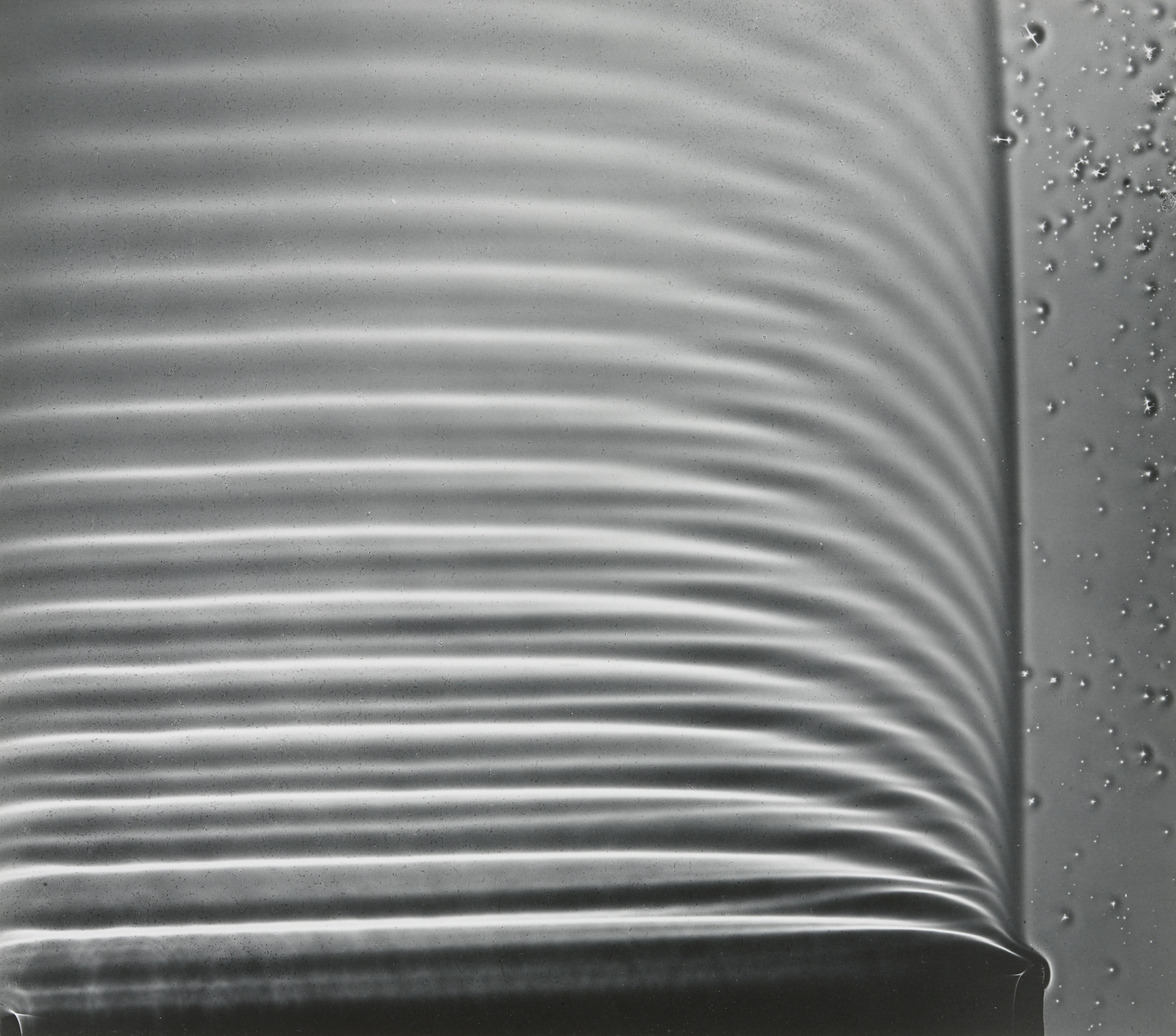 Berenice Abbott. Photogram: Wave Pattern, MIT