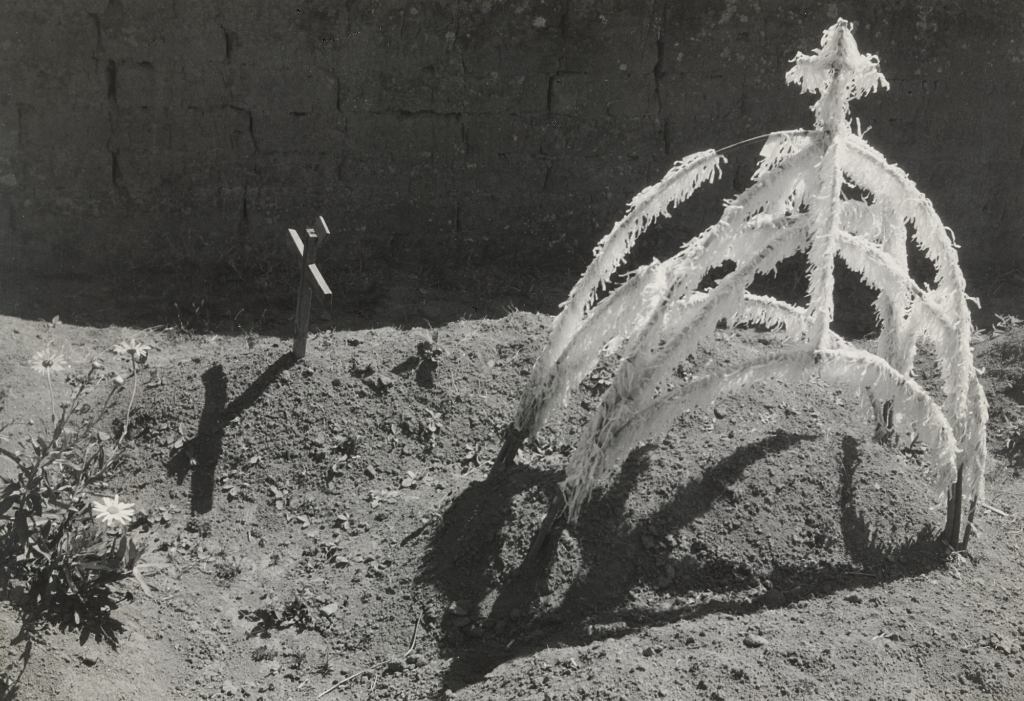 Manuel Álvarez Bravo. Recent Grave. 1933