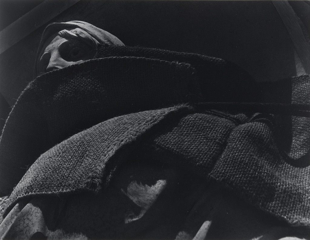 La de las Bellas Artes (She of the Fine Arts)