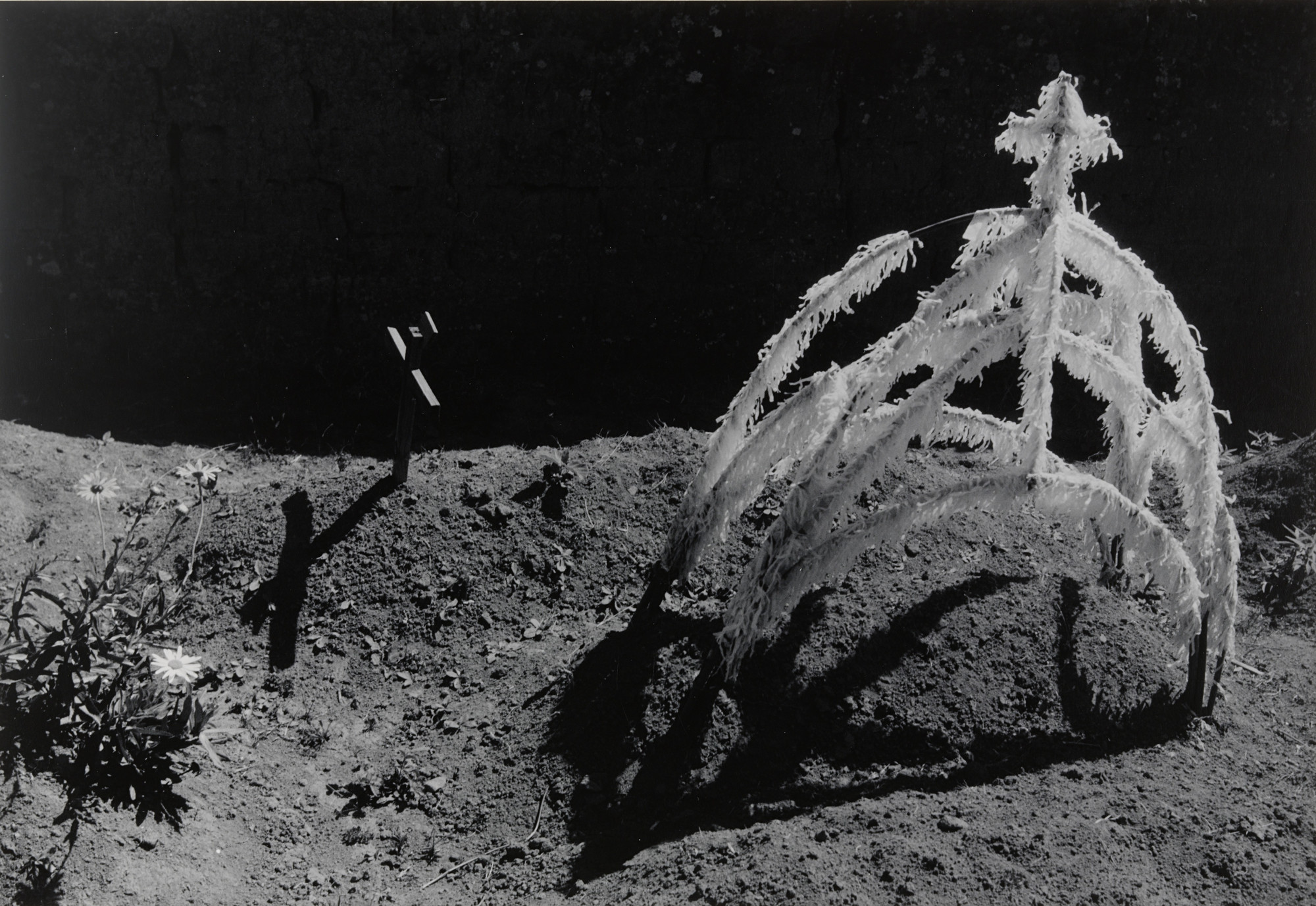 Manuel Álvarez Bravo. Recent Grave. 1933