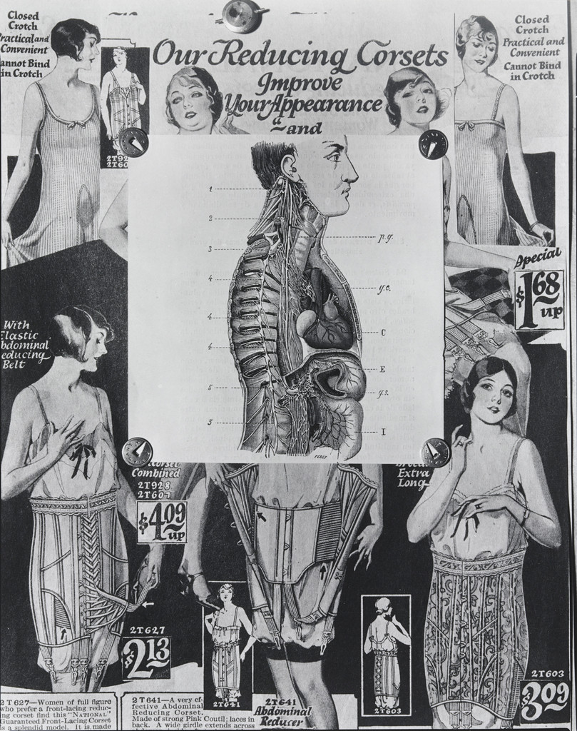 El Sistema nervioso del gran simpático (The Sympathetic Nervous System)