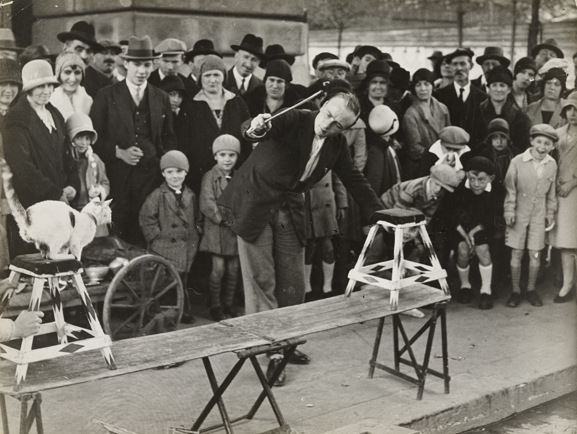 Brassaï (Gyula Halász). Cat Circus Performing in the Street. c. 1930