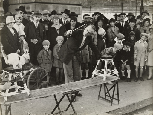 Brassaï (Gyula Halász). Cat Circus Performing in the Street