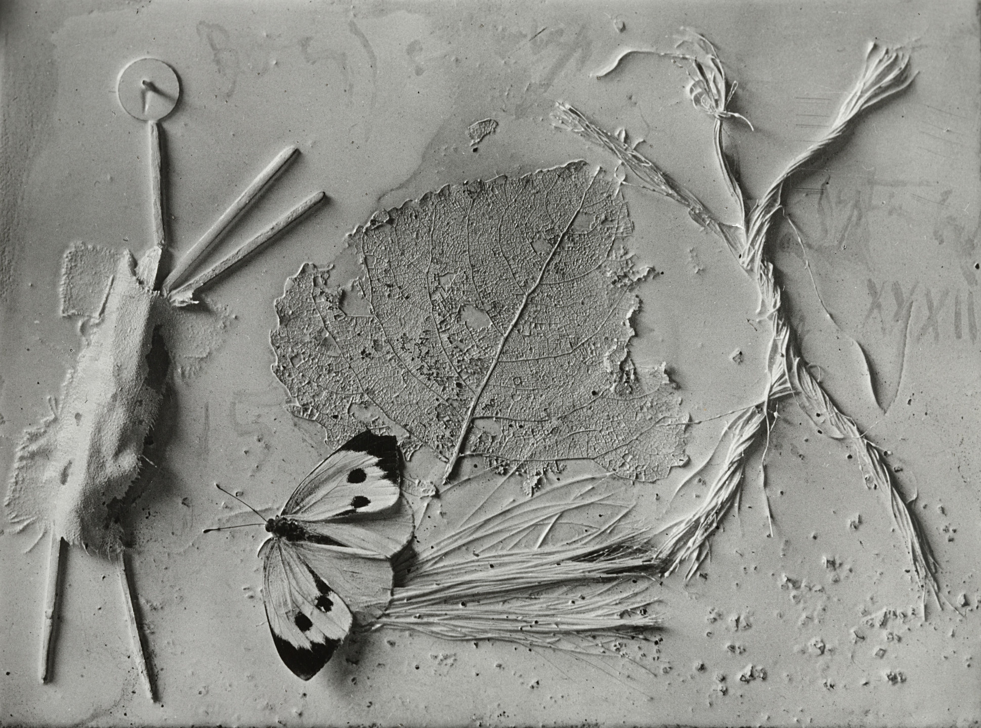 A grayscale image depicting a textured leaf, a butterfly with white and black spots, and various plant materials arranged on a rough surface. A simple stick figure is visible on the left side. This is an AI generated description. To give feedback, email ai@moma.org.