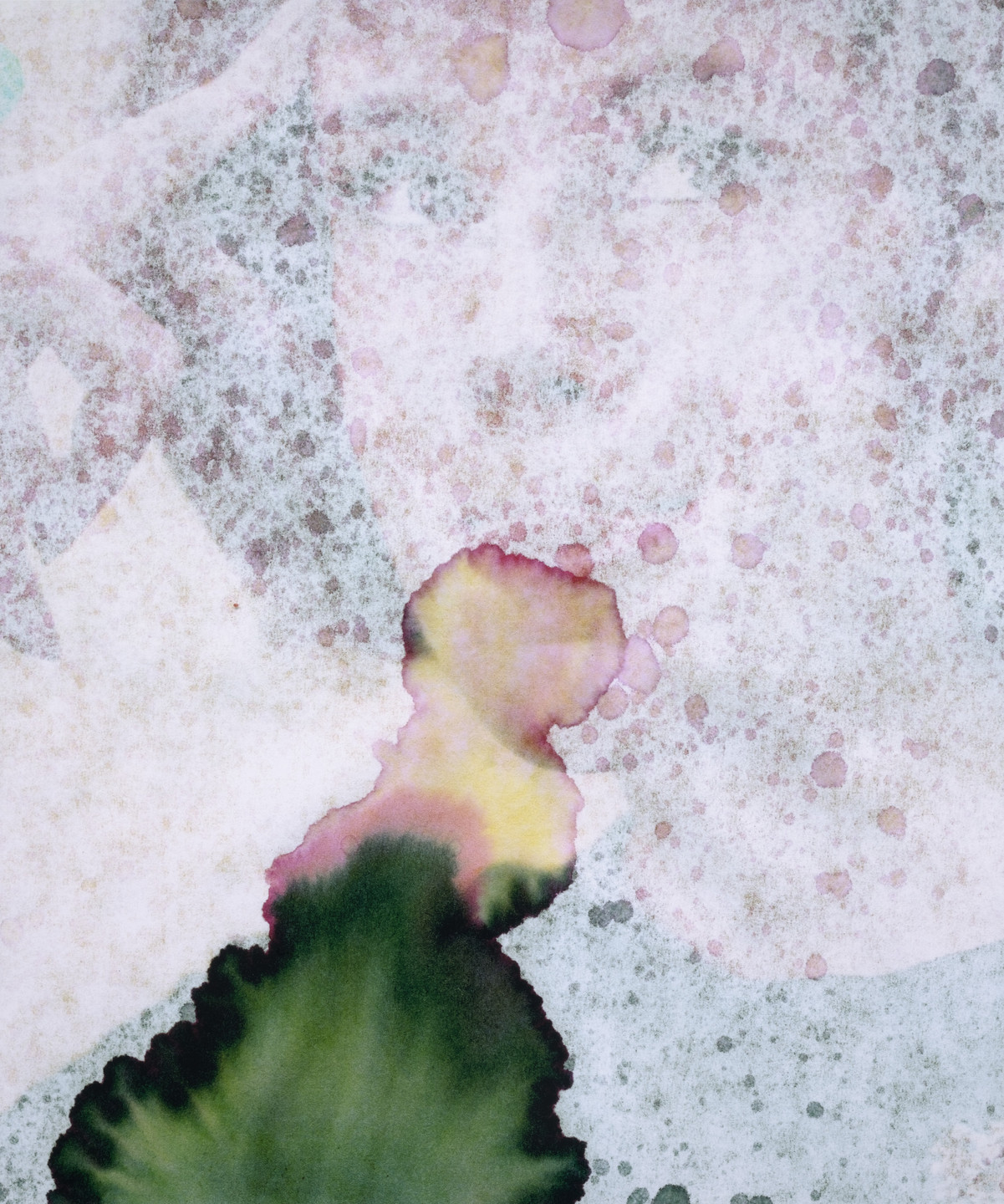 Sara Greenberger Rafferty. Joan. 2009